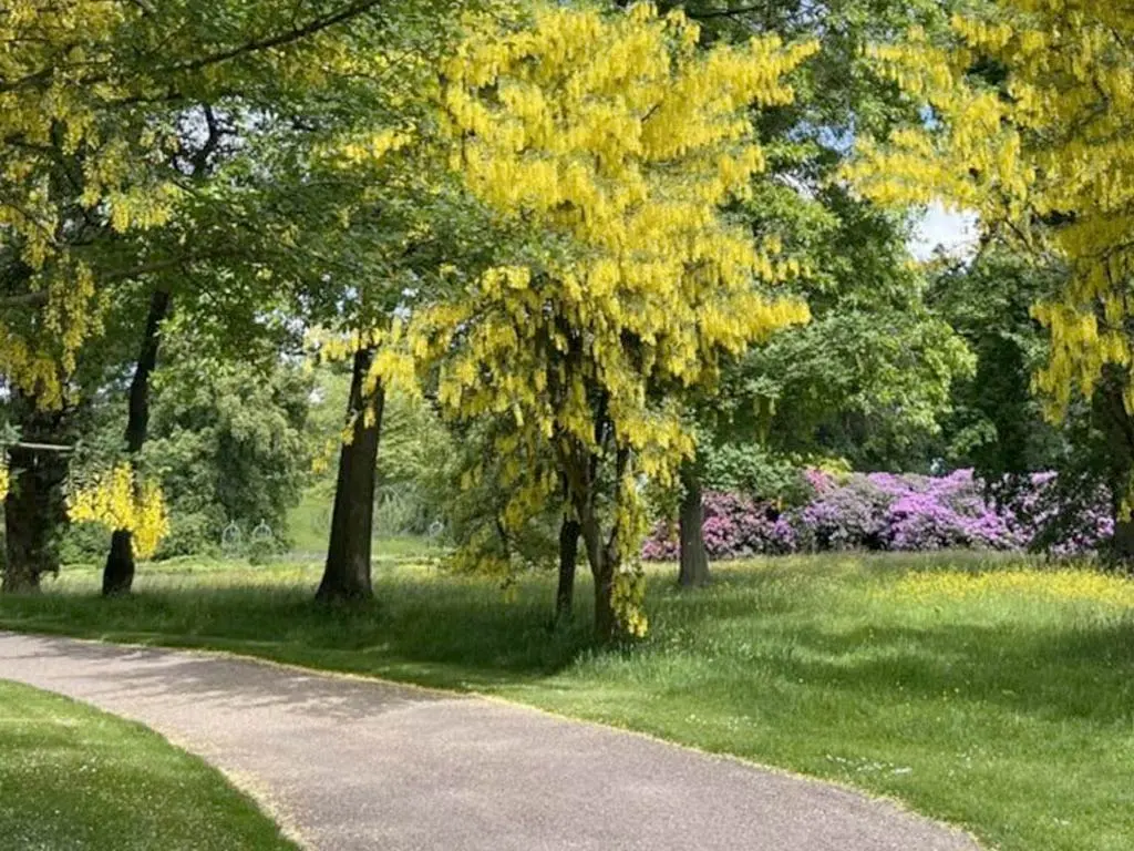 The Temple Garden
